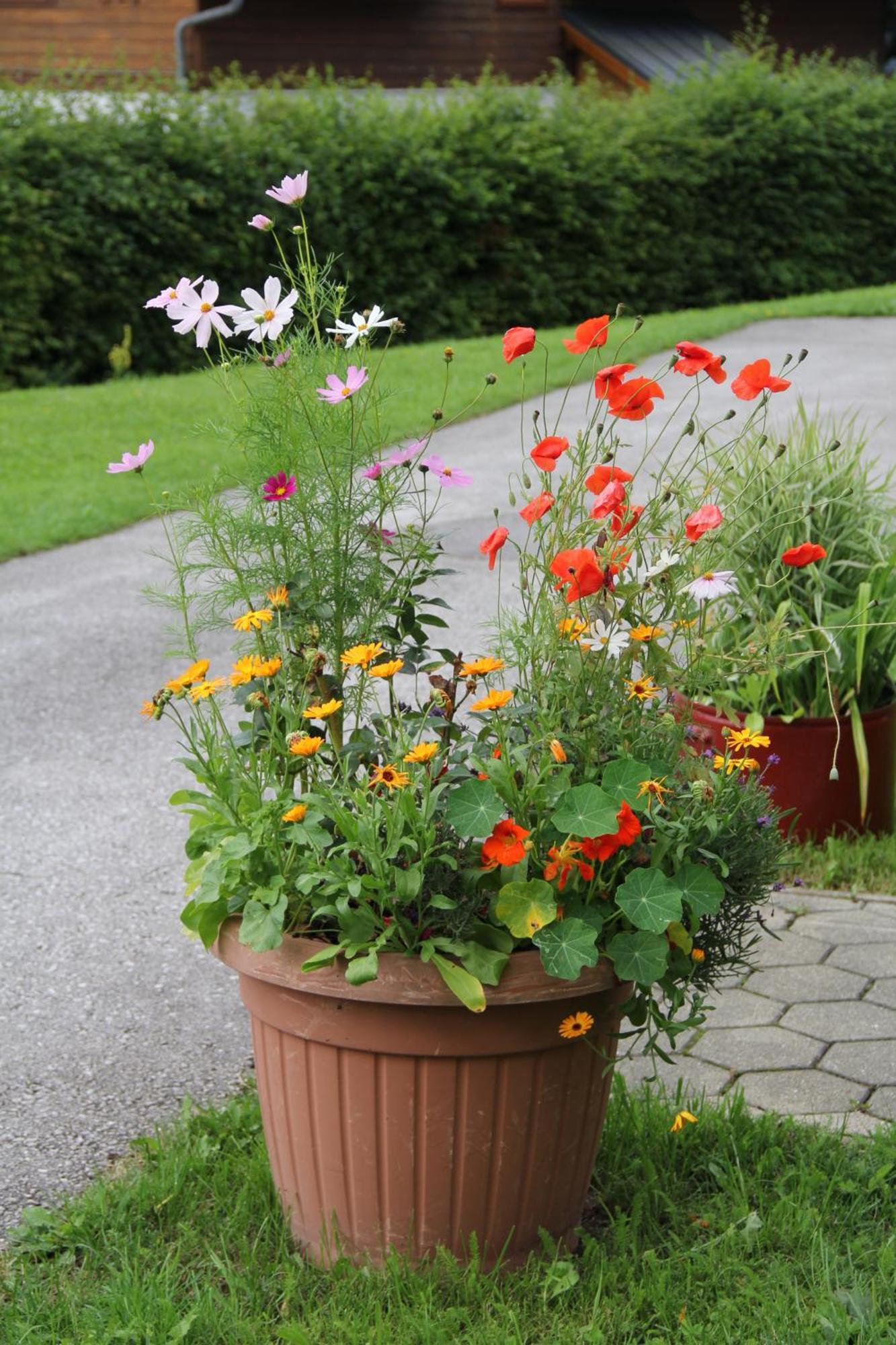 Ferienwohnung Grimmingblick - Auszeit Vom Alltag Obersdorf Extérieur photo